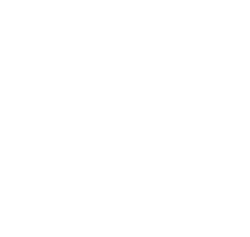 Q logo